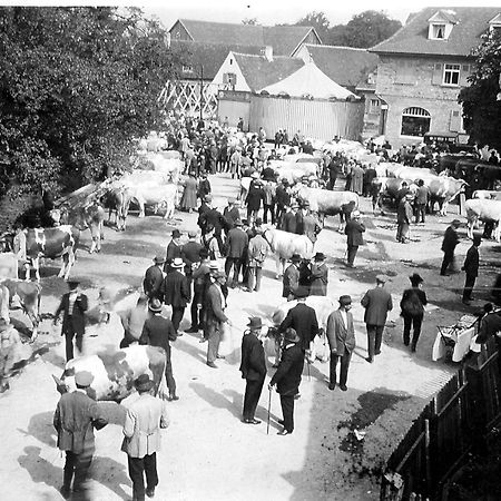 OX Hotel Heitersheim Buitenkant foto