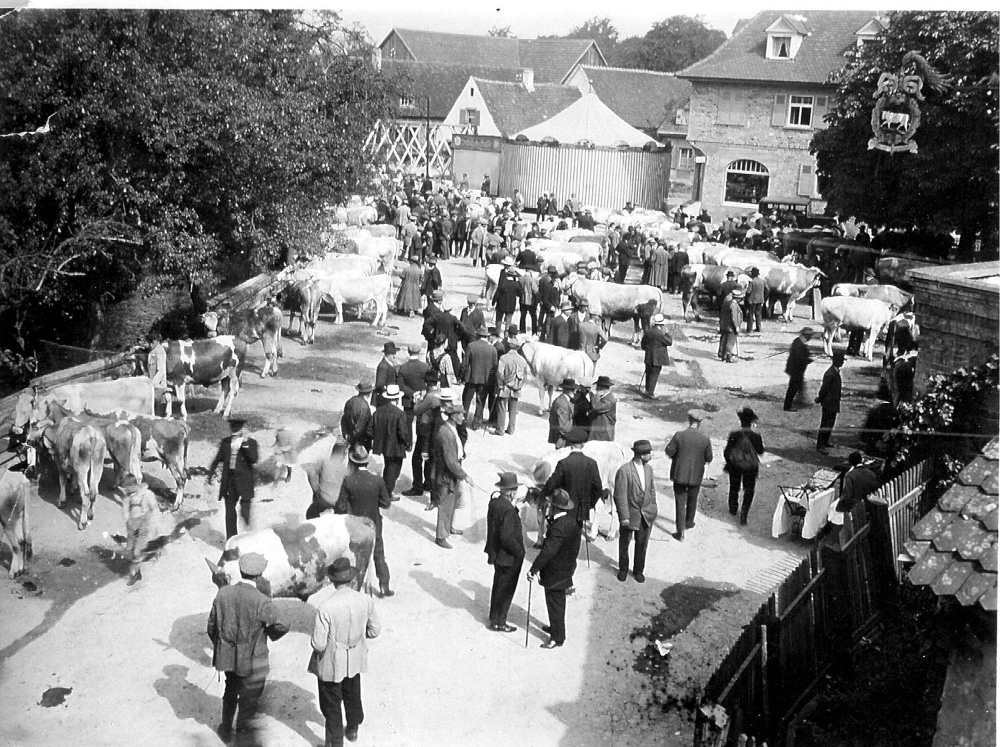 OX Hotel Heitersheim Buitenkant foto